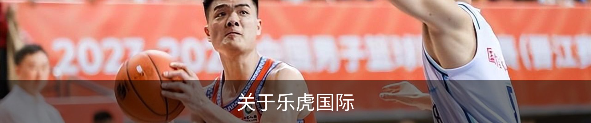 关于乐虎国际